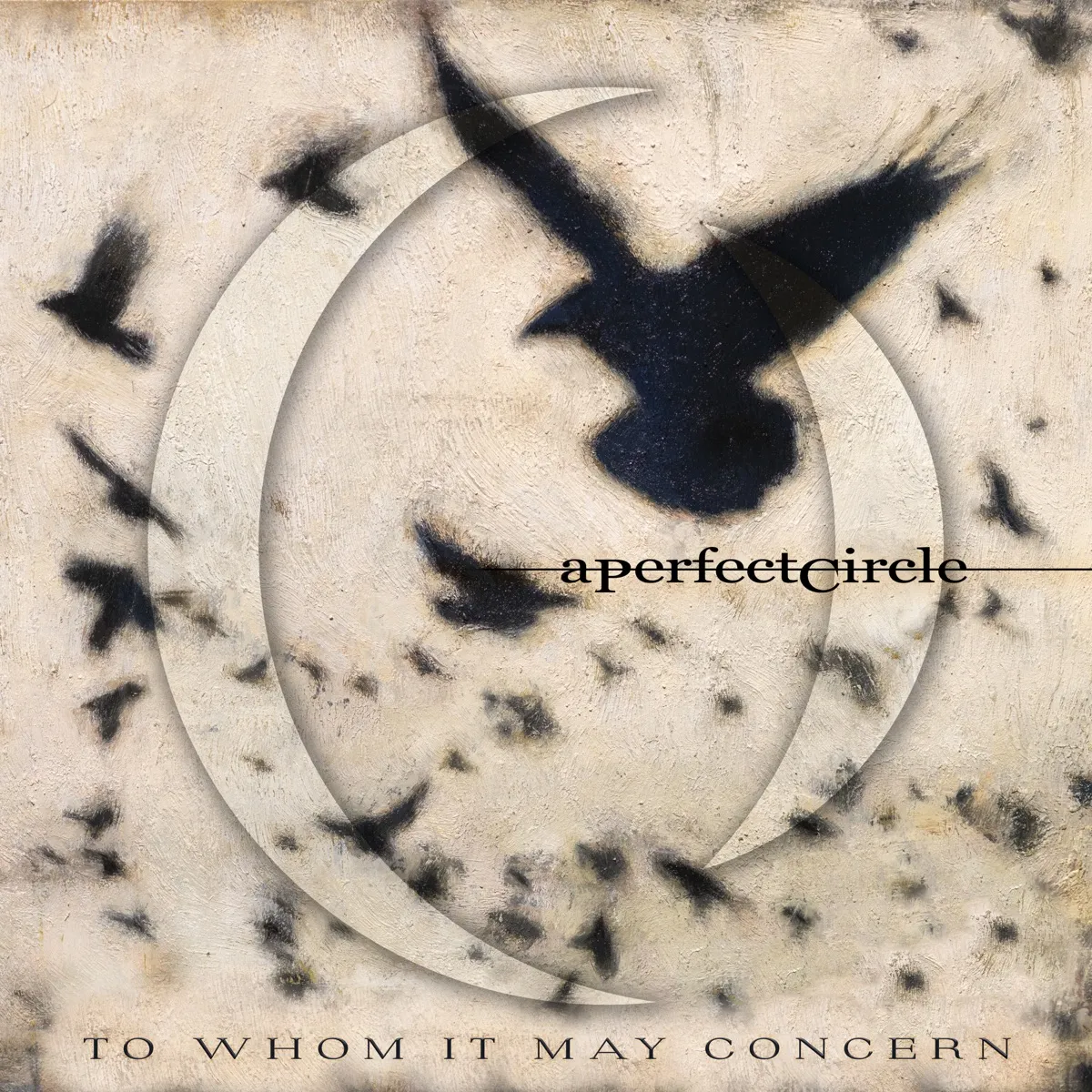 A Perfect Circle - To Whom It May Concern artwork