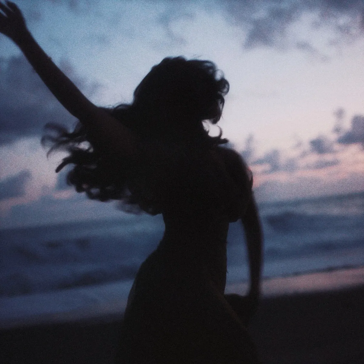 Amaria - 'Til We Meet Again artwork