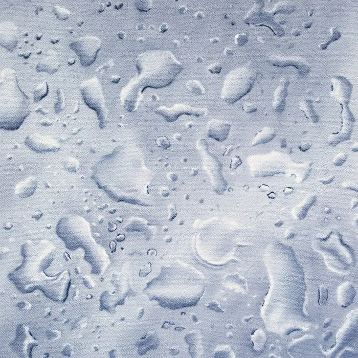 Anysia Kym & Tony Seltzer - Purity (Flips) artwork