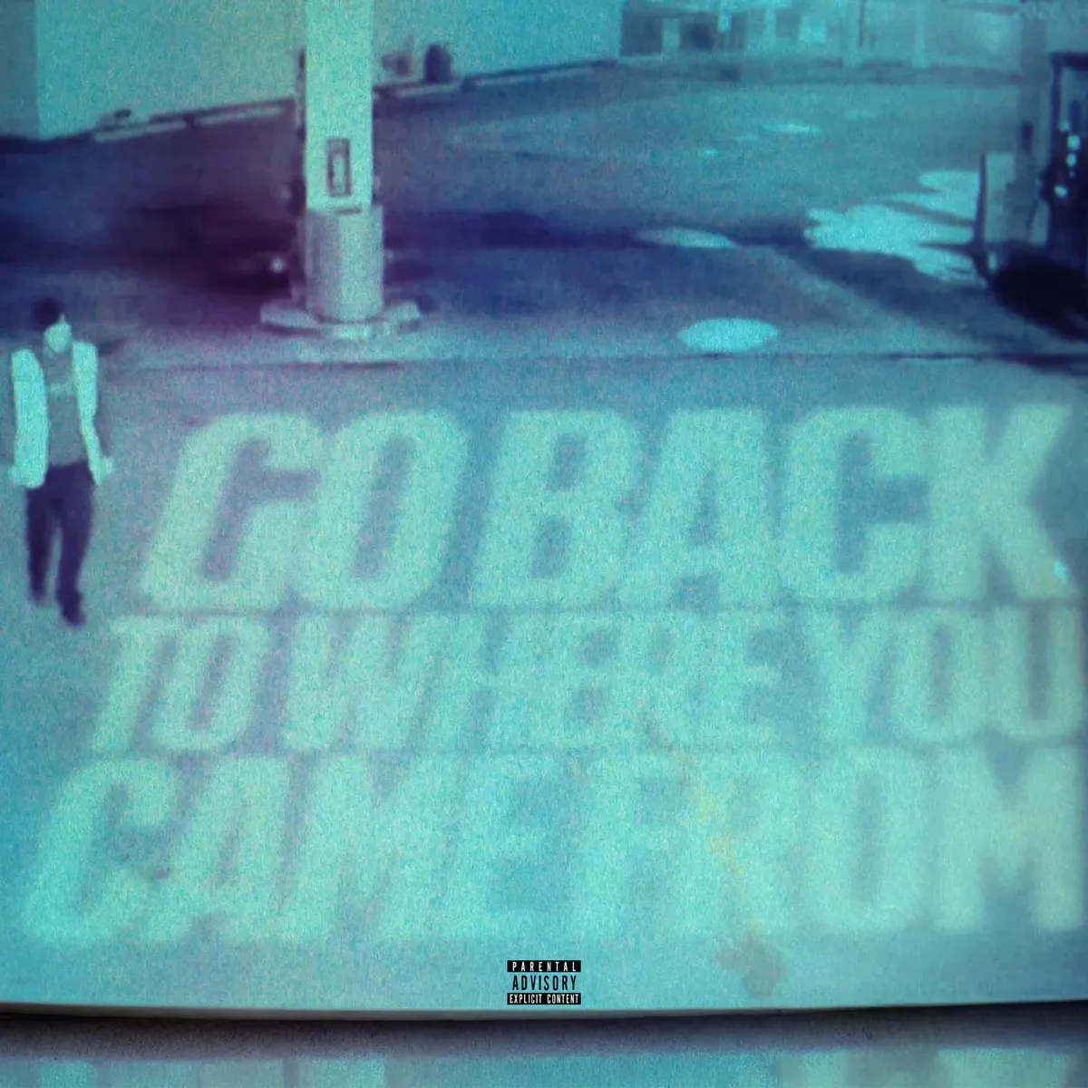 AR Paisley - Go Back to Where You Came From artwork