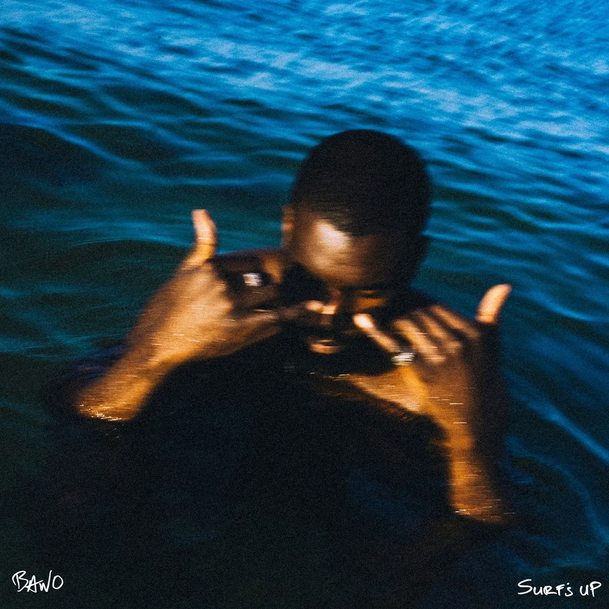 Bawo - Surf's Up artwork