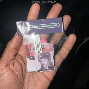 Blood Orange - Essex_Honey.mp3 artwork