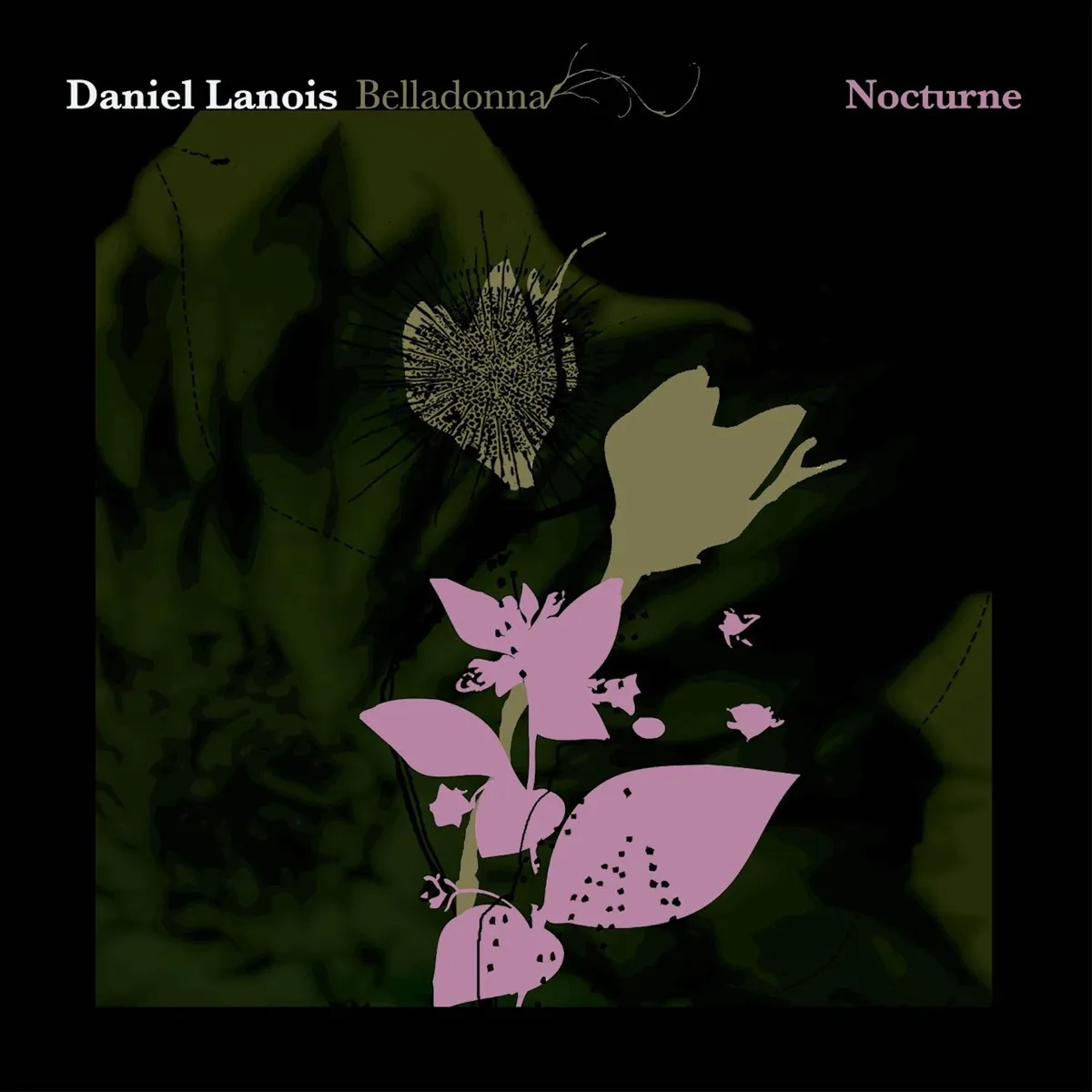 Daniel Lanois - Belladonna Nocturne artwork