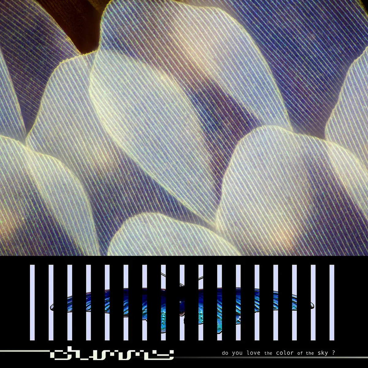 Dummy - N of 1 artwork