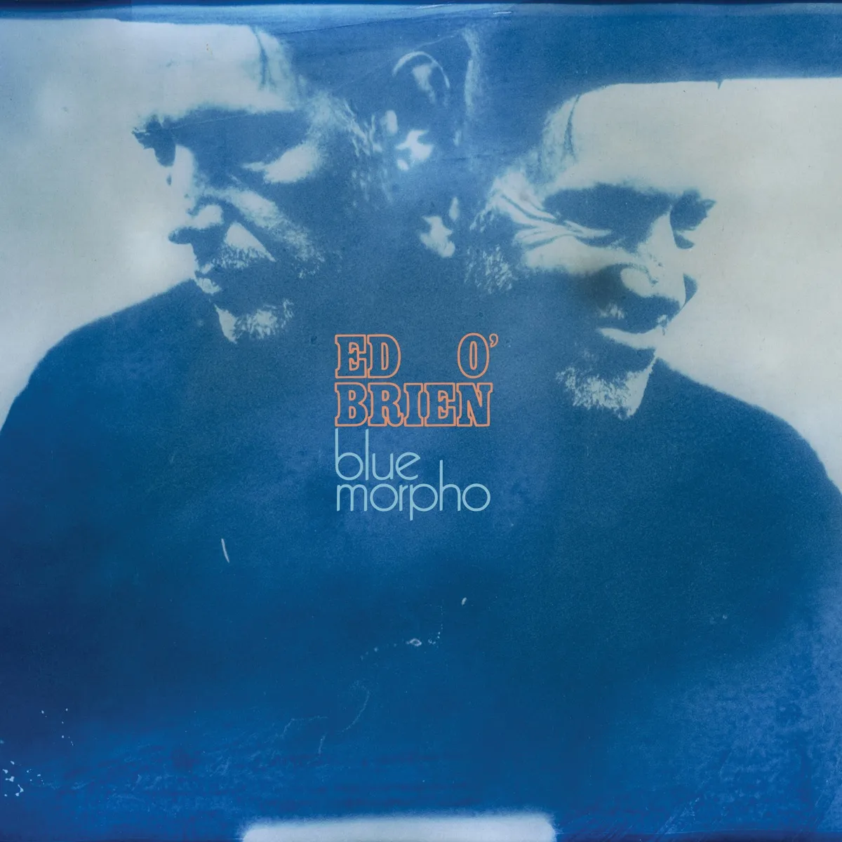 Ed O’Brien - Blue Morpho artwork