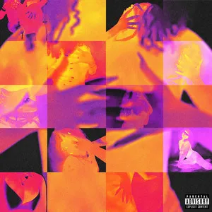 Flyana Boss - UNDER THE INFLUENCE artwork