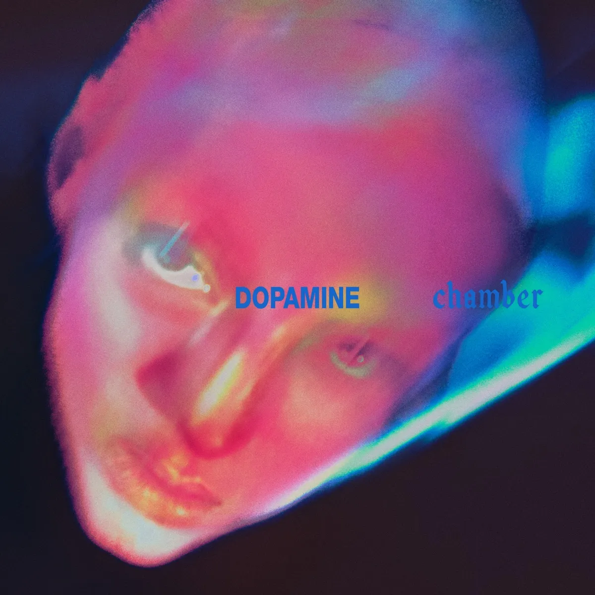 Fontaines D.C. & ROSALÍA - Where Is Gone? artwork