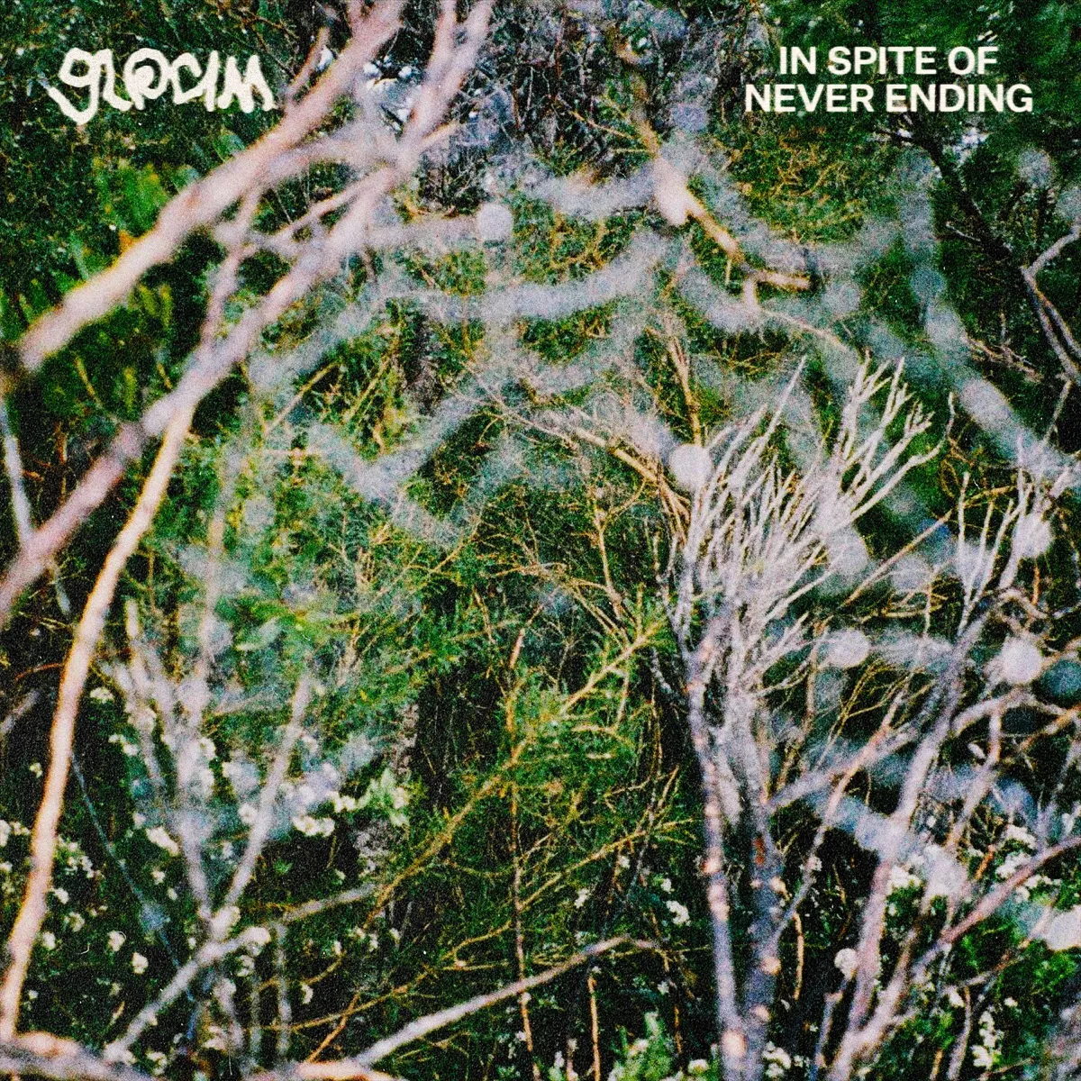 Gloam - In Spite Of Never Ending artwork