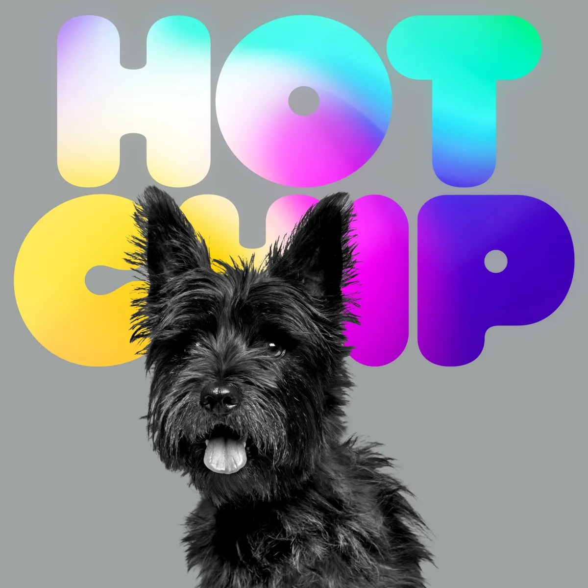 Hot Chip - Random Violence artwork