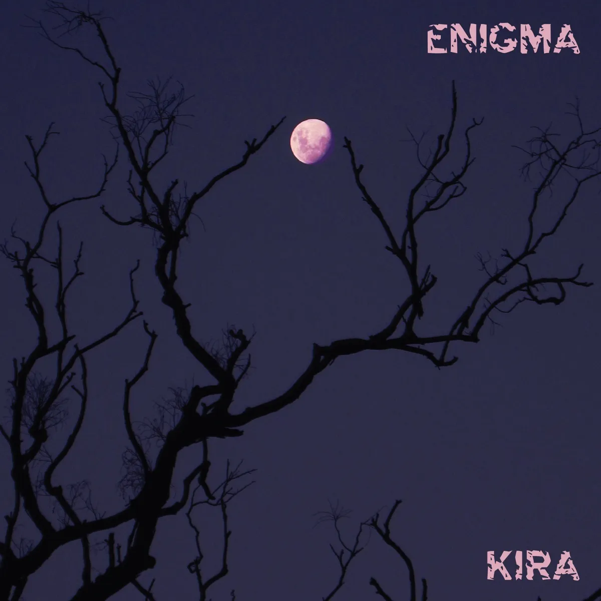 Kira Roessler - Enigma artwork