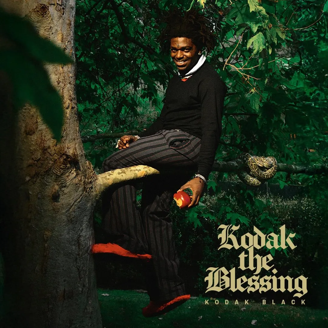 Kodak Black - Kodak The Blessing artwork