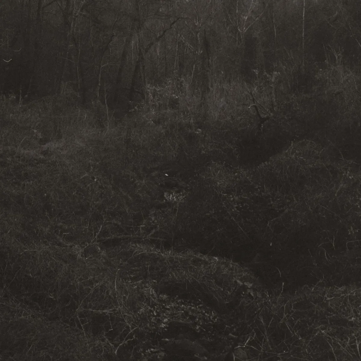 Lesley Mok - transient artwork