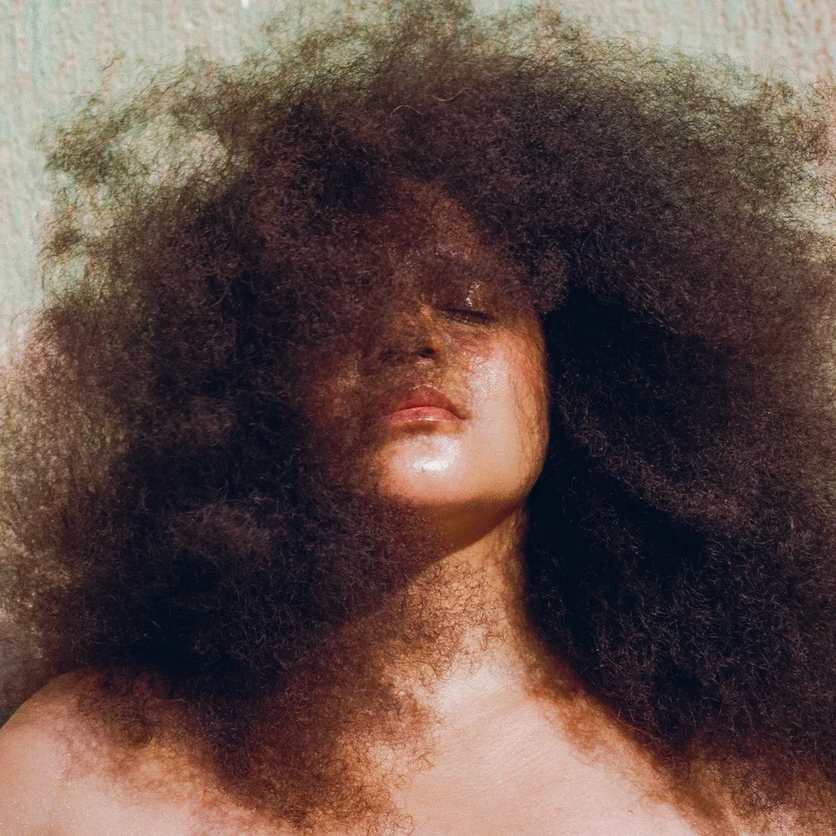 Lido Pimienta - Caribenya artwork