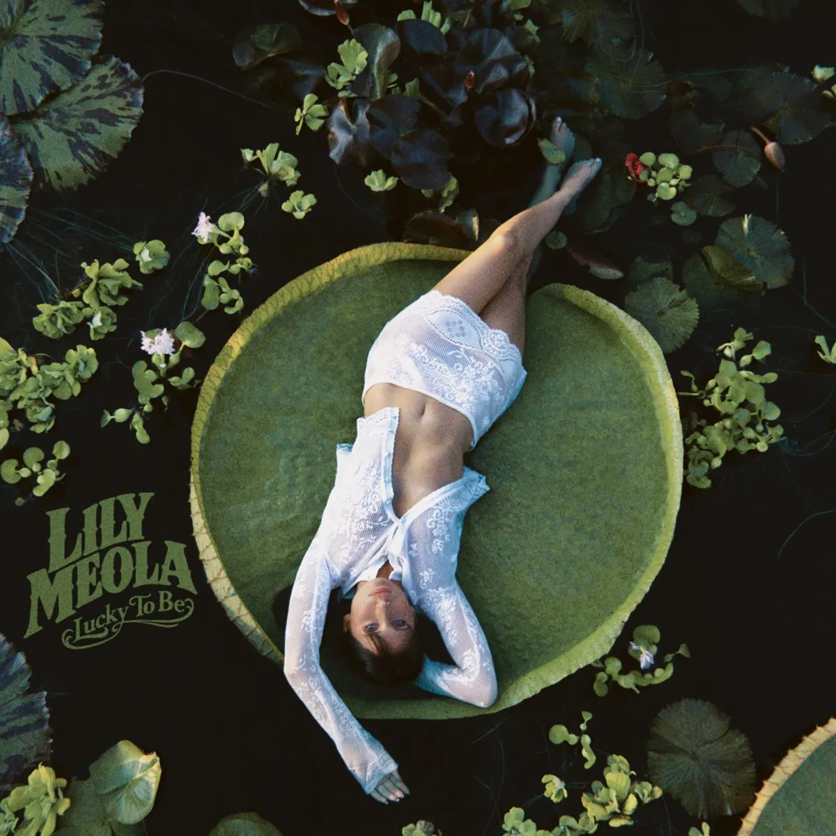 Lily Meola - Lucky to Be artwork