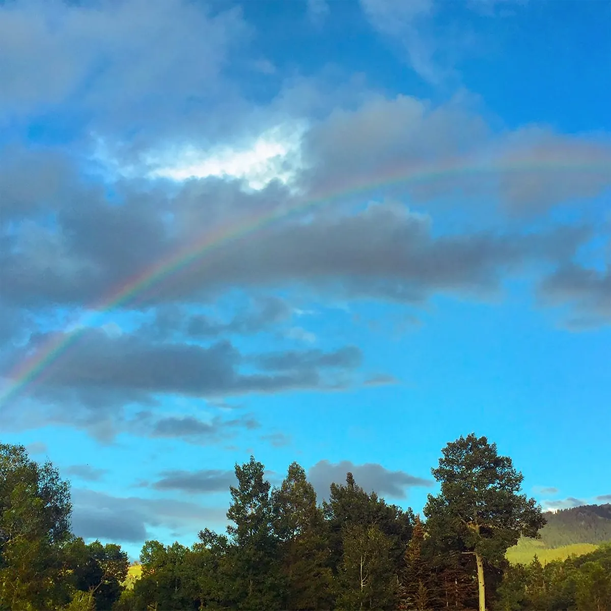 Mike Posner - Crazy Rainbow artwork