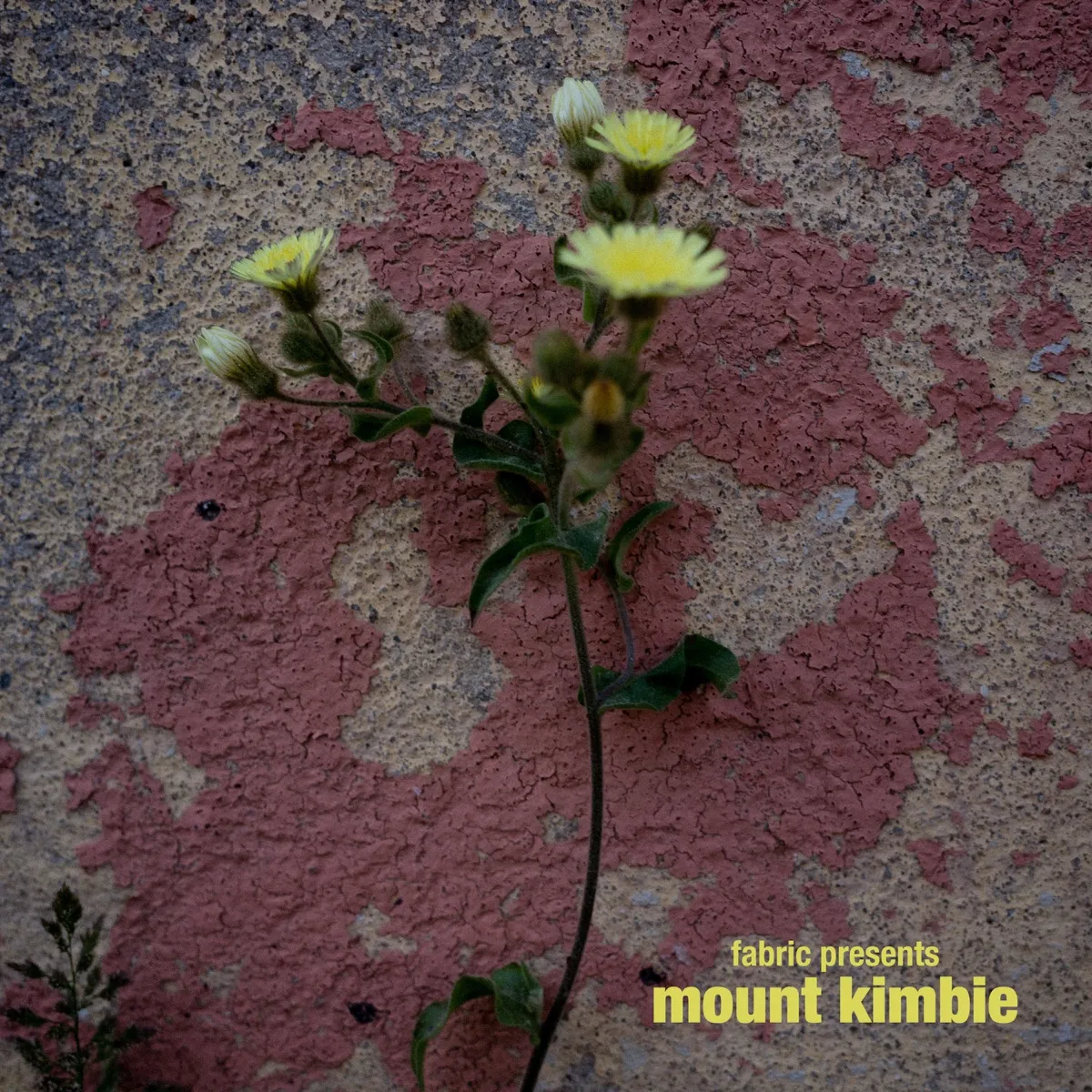 Mount Kimbie - Monroe artwork
