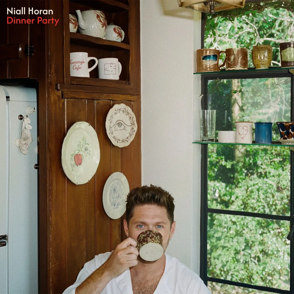 Niall Horan - Dinner Party artwork