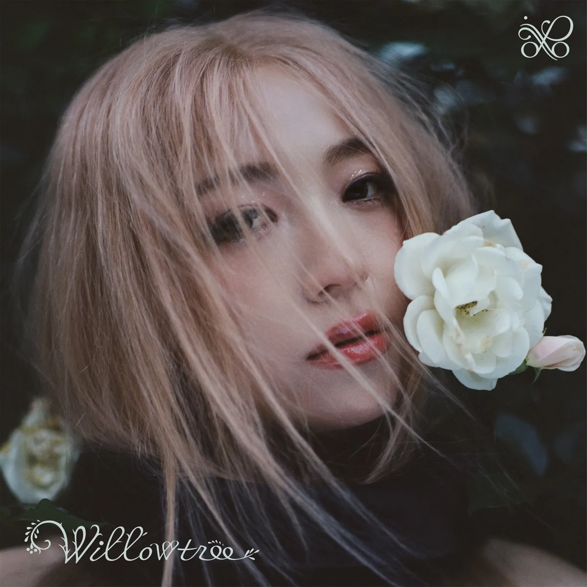 PIAO - Willowtree artwork