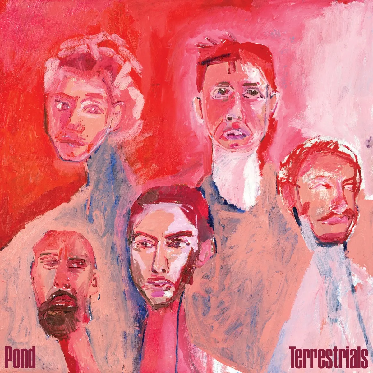 Pond - Terrestrials artwork