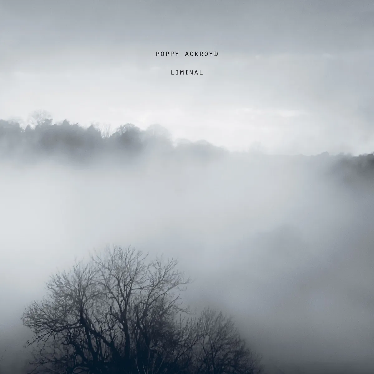 Poppy Ackroyd - Liminal artwork