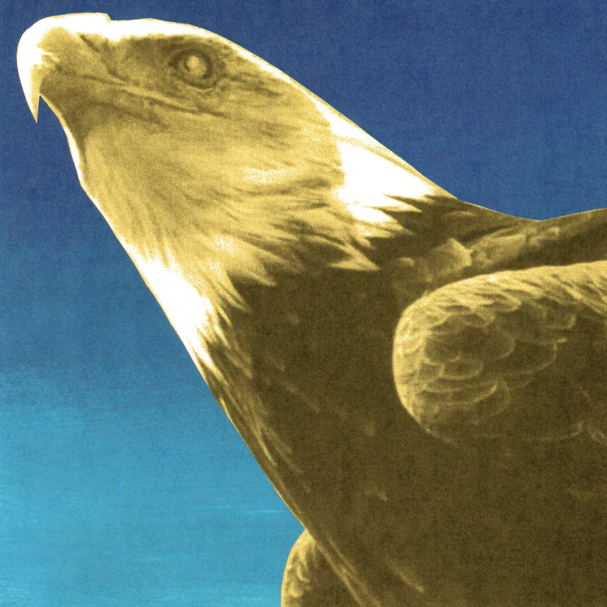 Protomartyr - Hotel Usona artwork