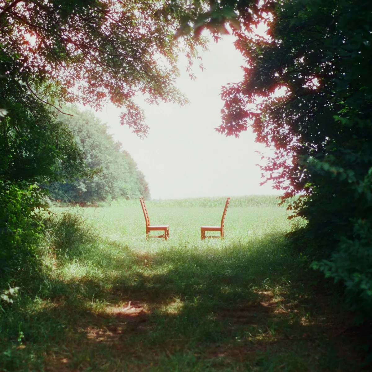 Ratboys - Singin' to an Empty Chair (Deluxe) artwork