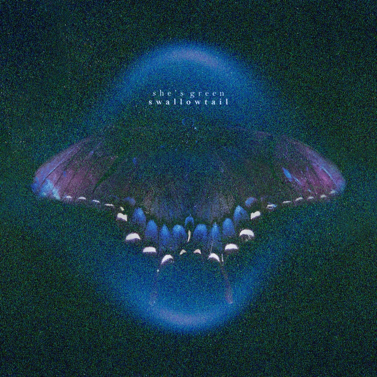 she's green - swallowtail artwork