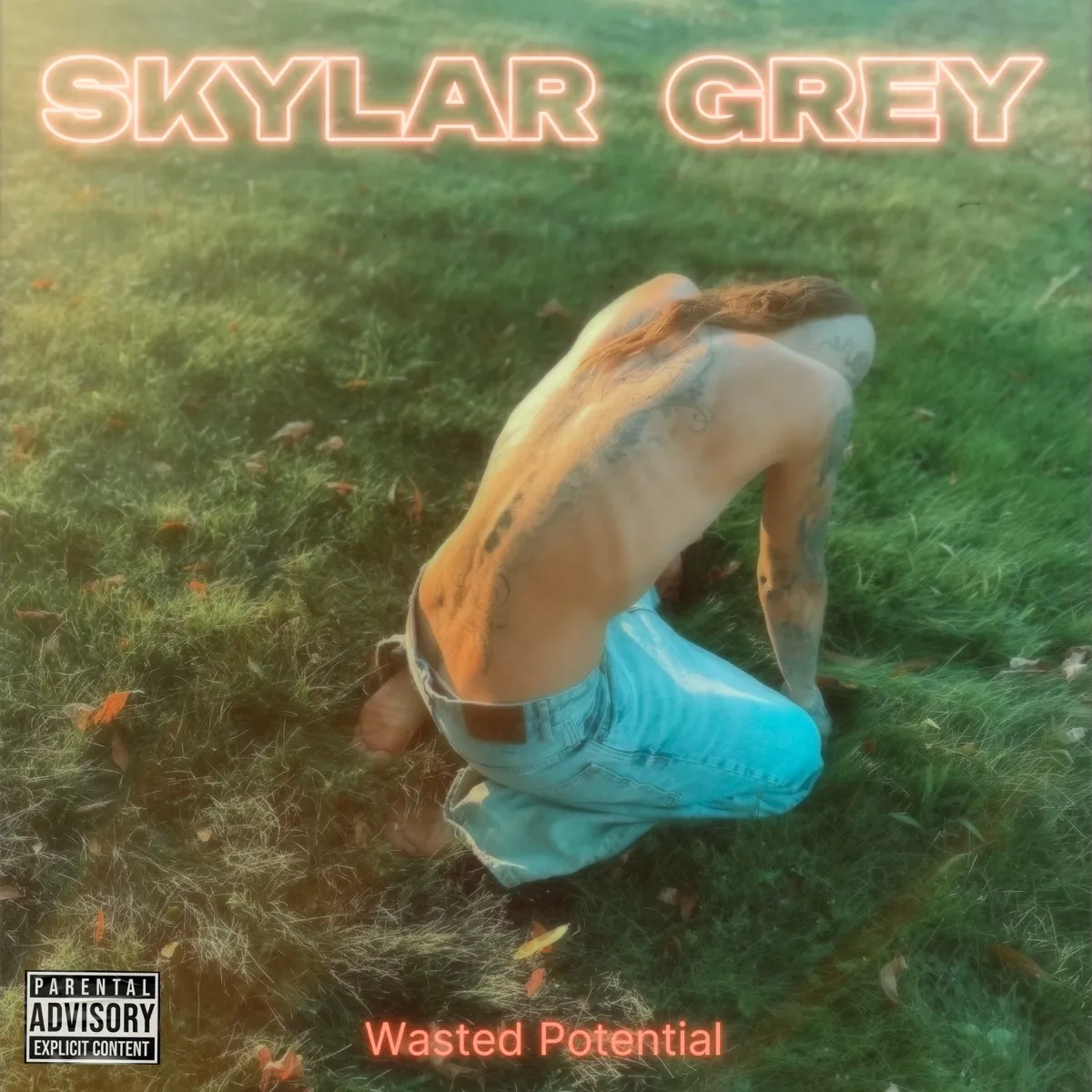 Skylar Grey - Wasted Potential artwork