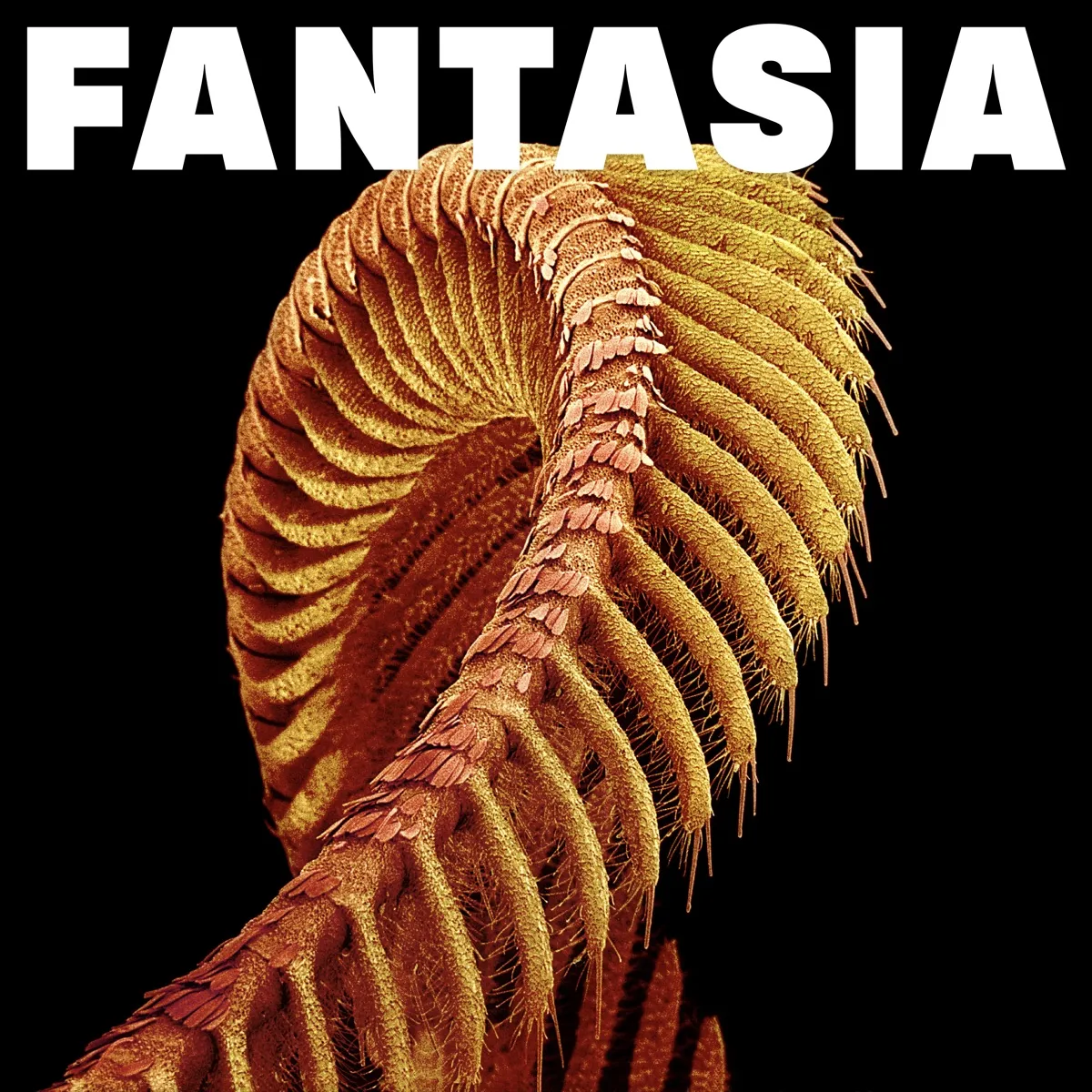 SLIFT - Fantasia artwork