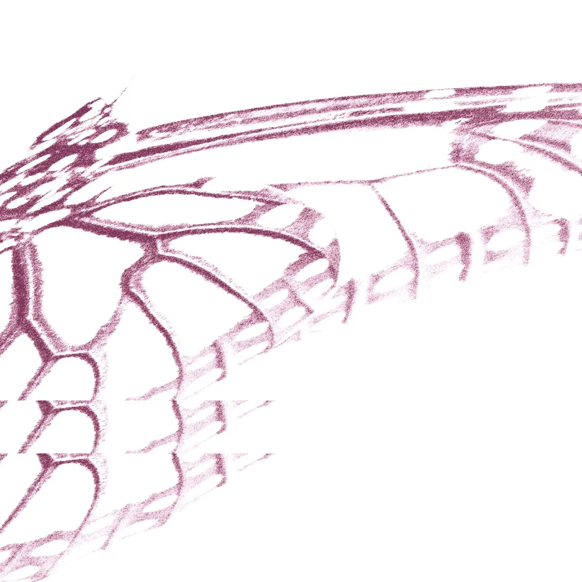 smush - milkweed butterfly artwork