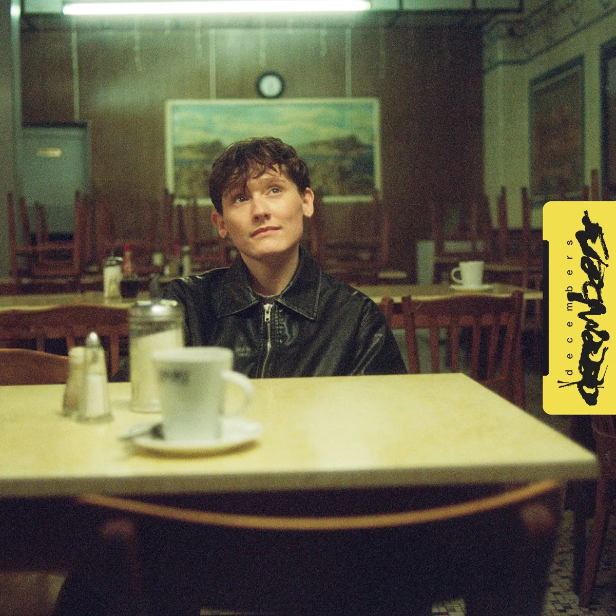SOAK - decembers artwork