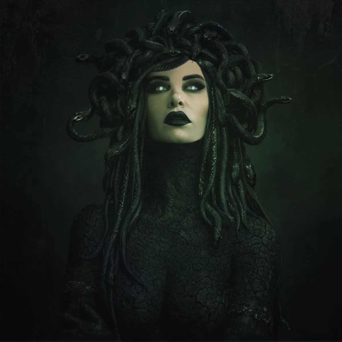 Stitched Up Heart - Medusa artwork
