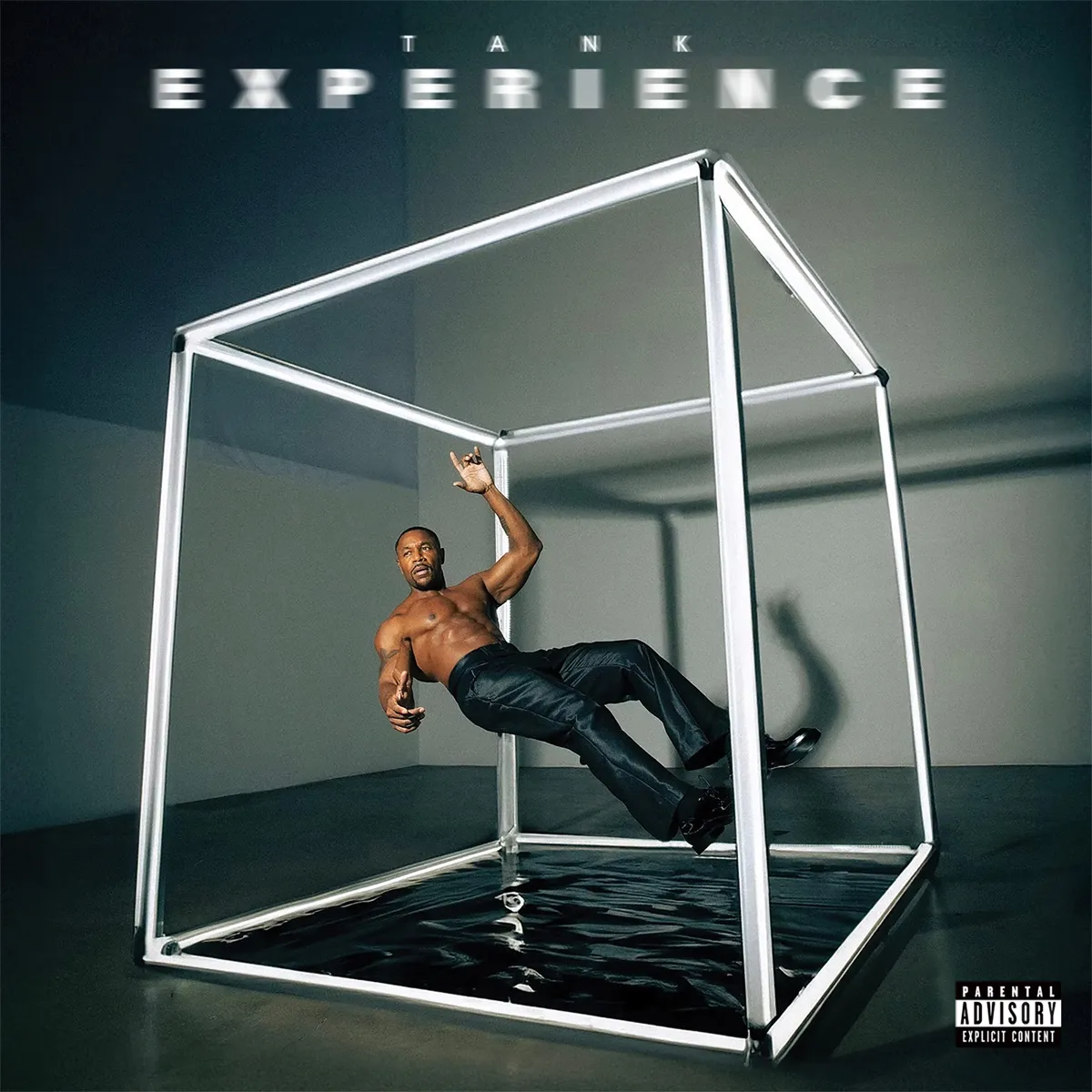 Tank - EXPERIENCE artwork
