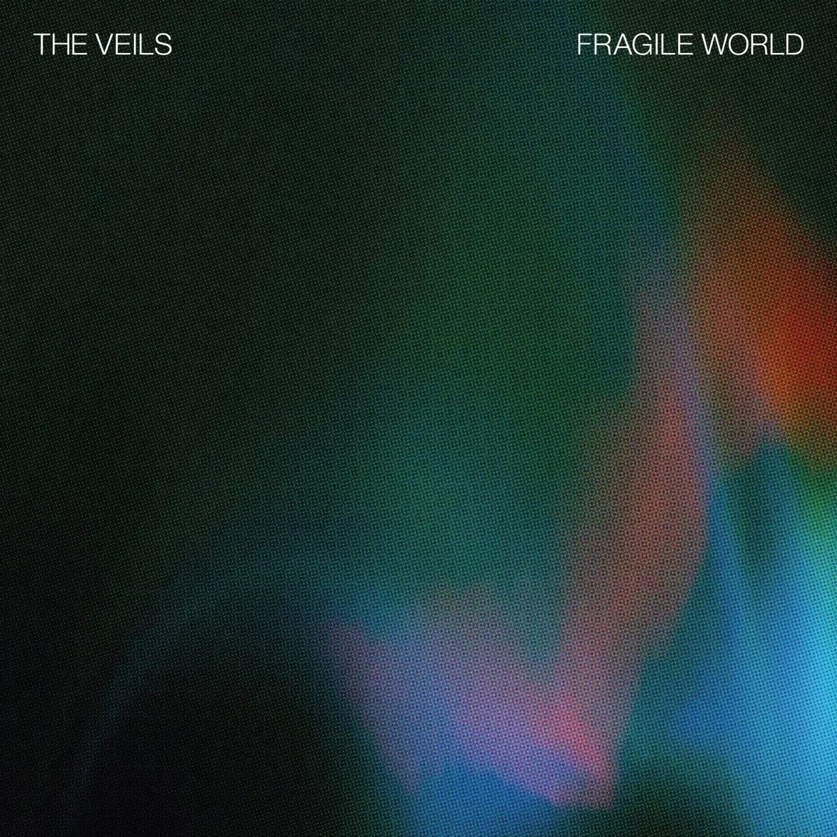 The Veils - Fragile World artwork