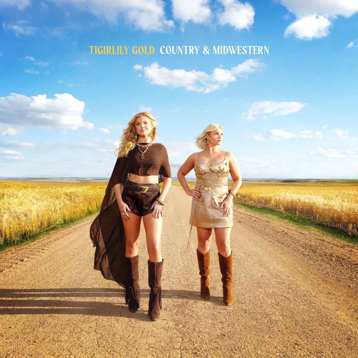 Tigirlily Gold - Country & Midwestern artwork