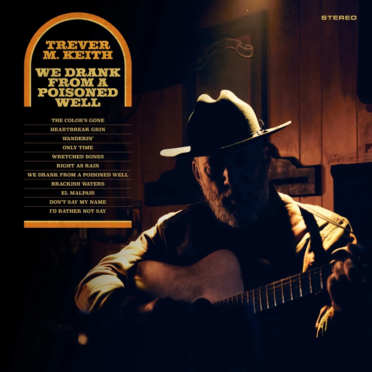 Trever M. Keith - We Drank From a Poisoned Well artwork