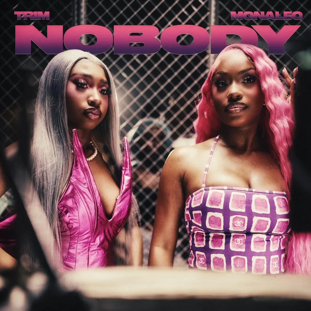 Trim & Monaleo - Nobody (feat. Monaleo) [Remix] artwork