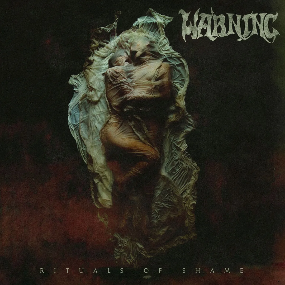 Warning - Rituals of Shame artwork