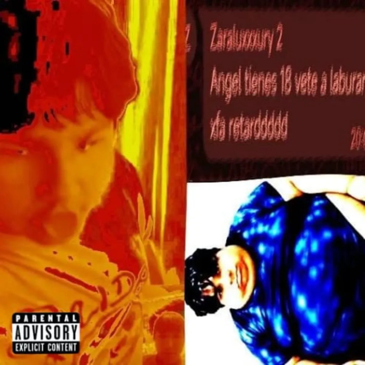 Zarahaters Team, Paola Suárez & Arca - Zara down artwork